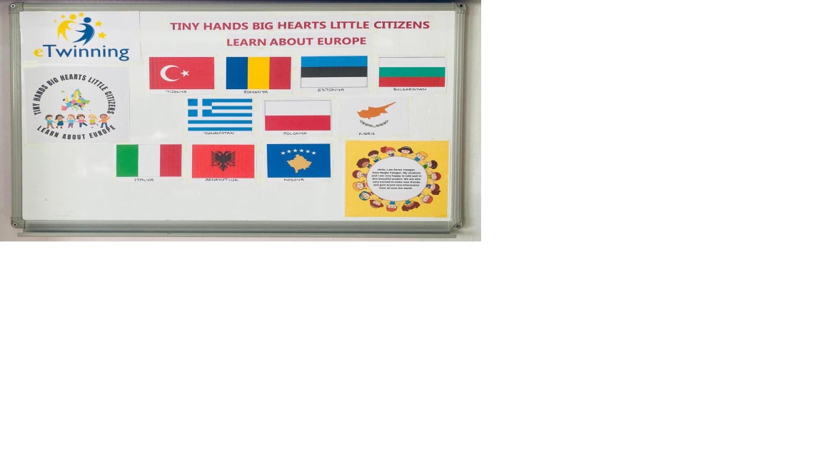 E-Twinning Kalite etiketi